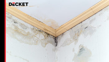 Dachboden Schimmel entfernen